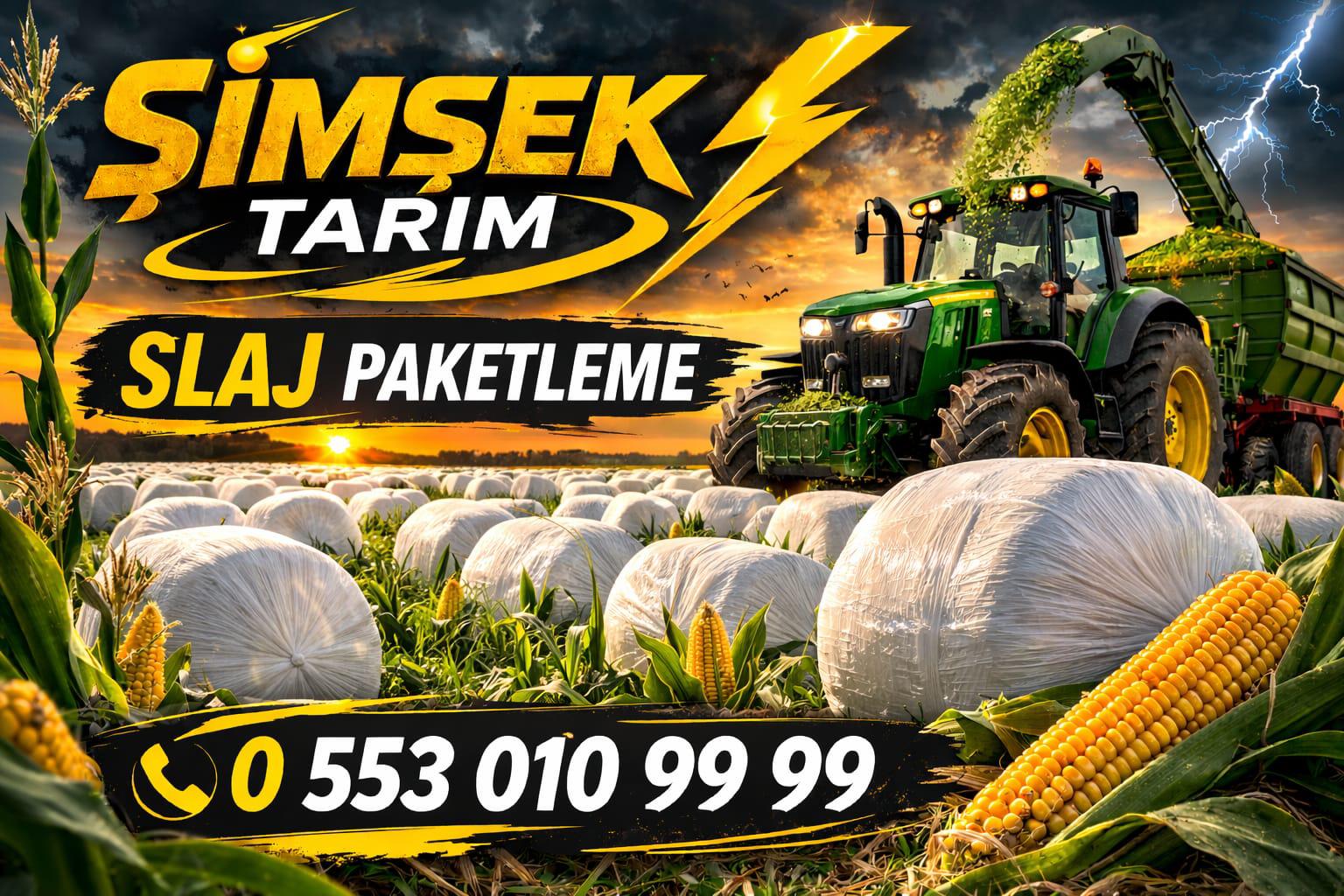 1inci Ekim silajlarimiz