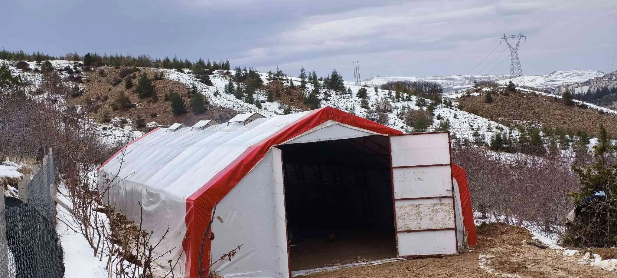 10x20 200M2–81 İL'E KAPIDA ÖDEME-KÜÇÜKBAŞ,BÜYÜKBAŞ,TAVUK-ÇADIRI