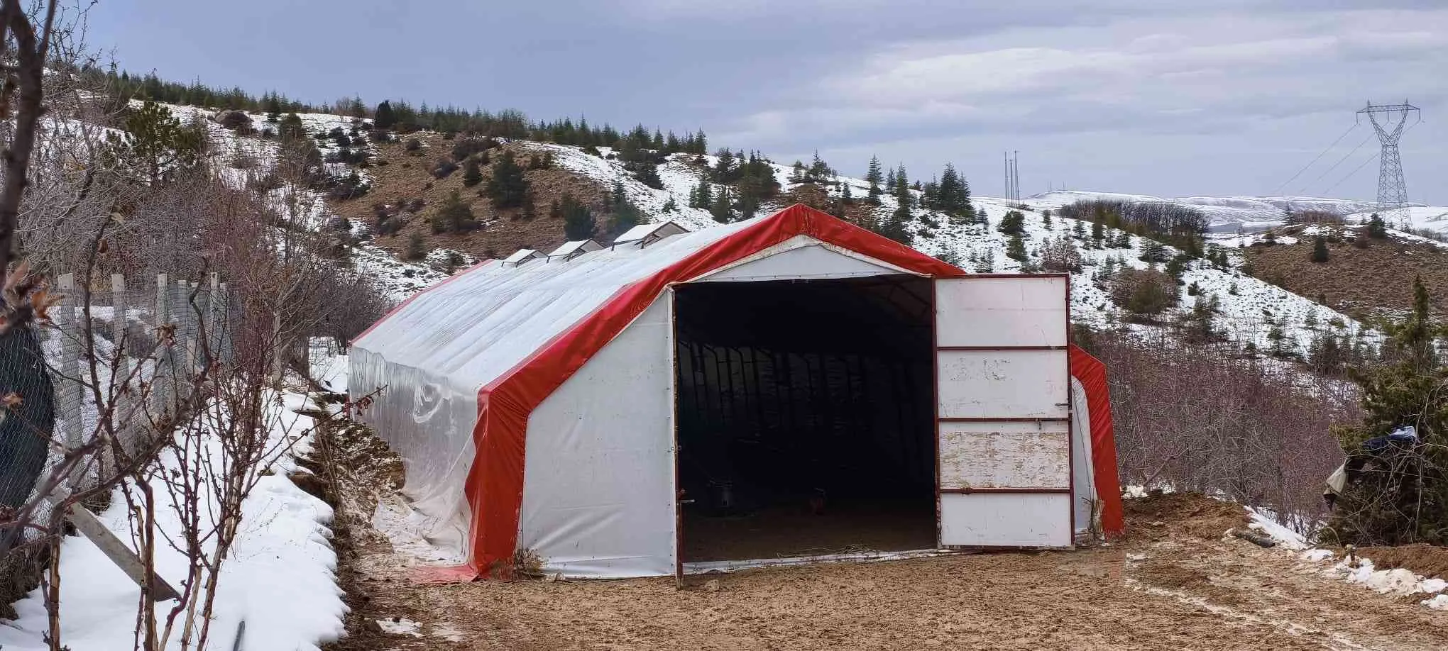 10x25 250M2–81 İL'E KAPIDA ÖDEME-KÜÇÜKBAŞ,BÜYÜKBAŞ,TAVUK-ÇADIRI