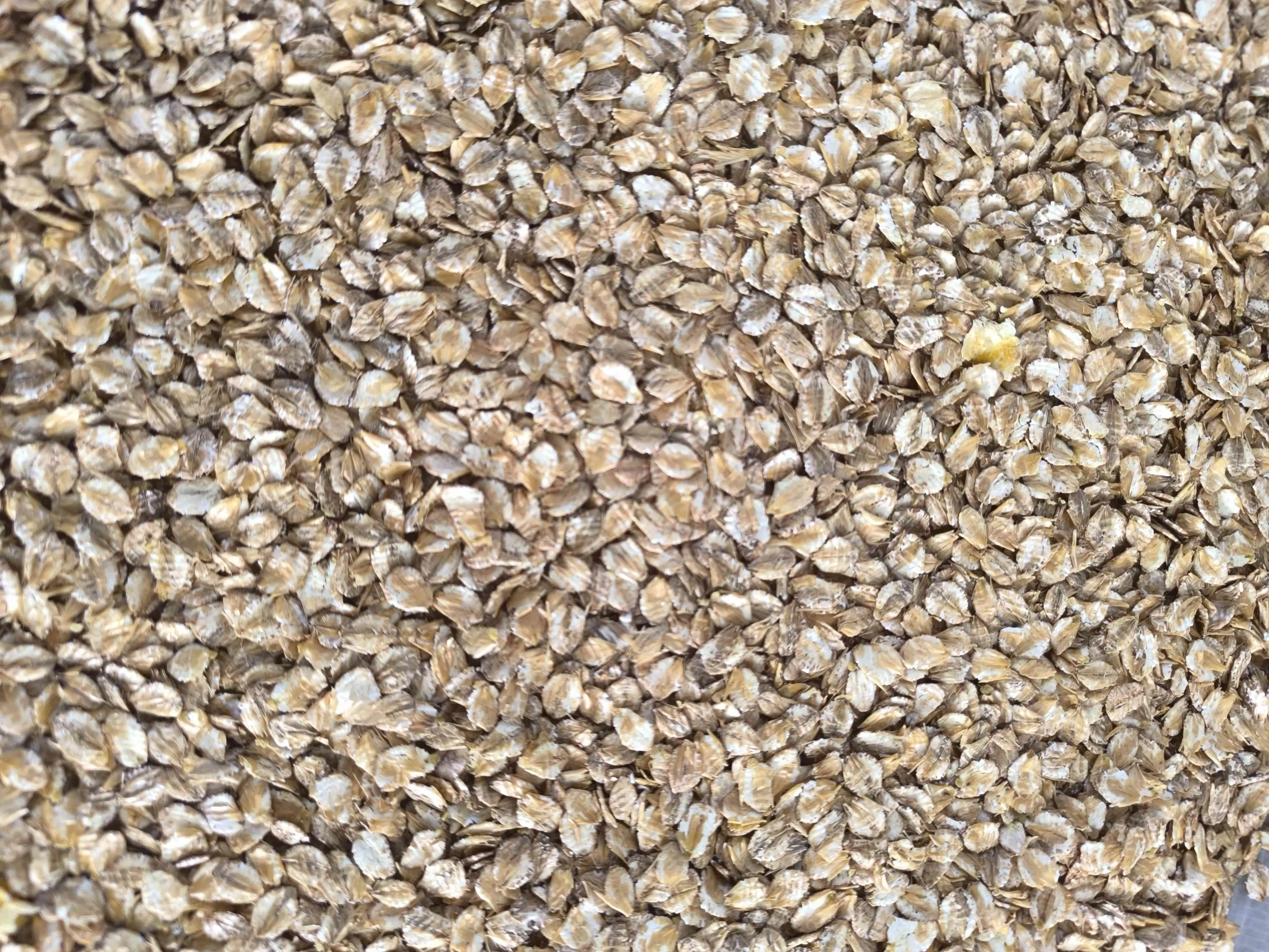 Arpa flake