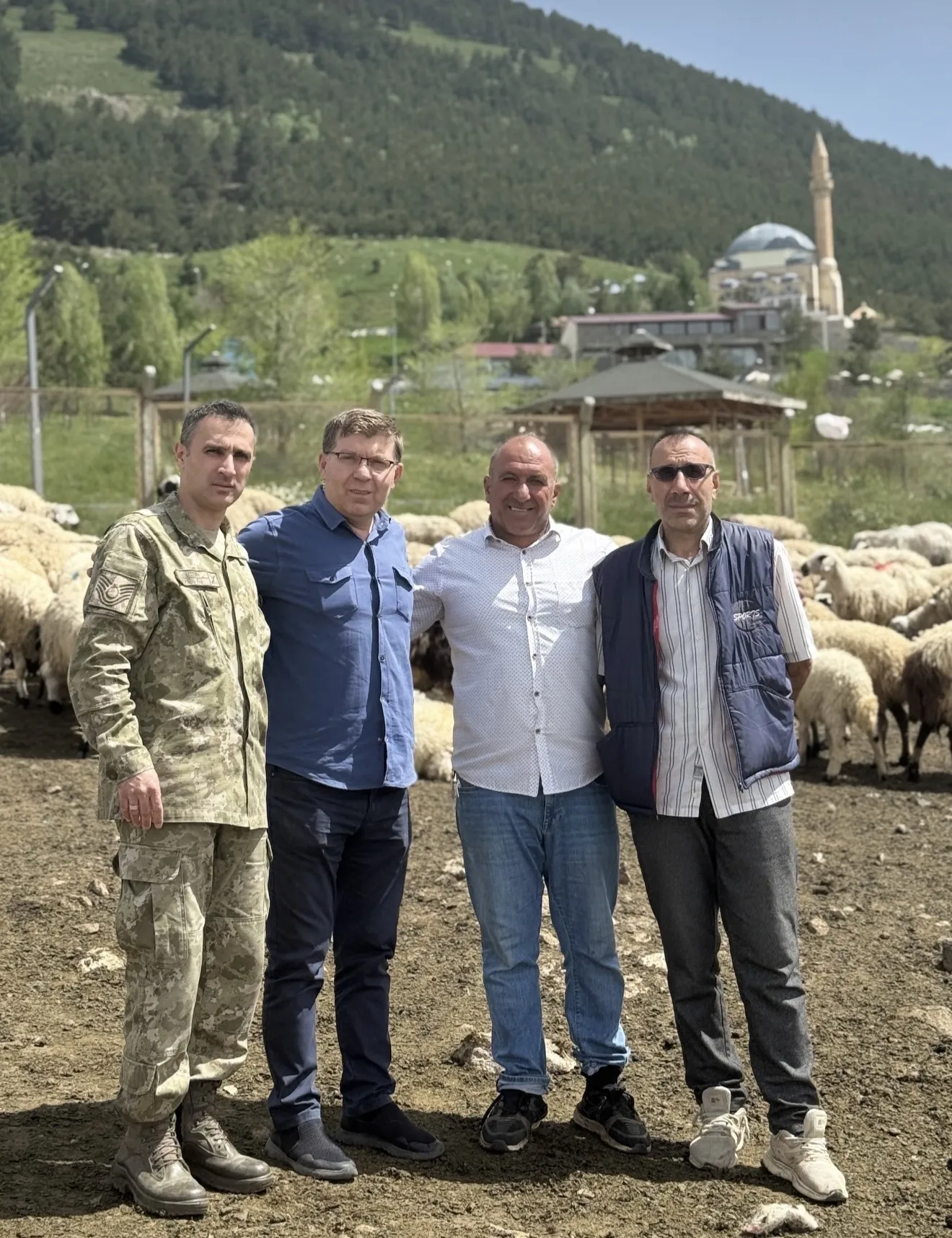 Kücükbaş Kurbanlık Bulunur Bakımı ve kesimi ücretsizdir