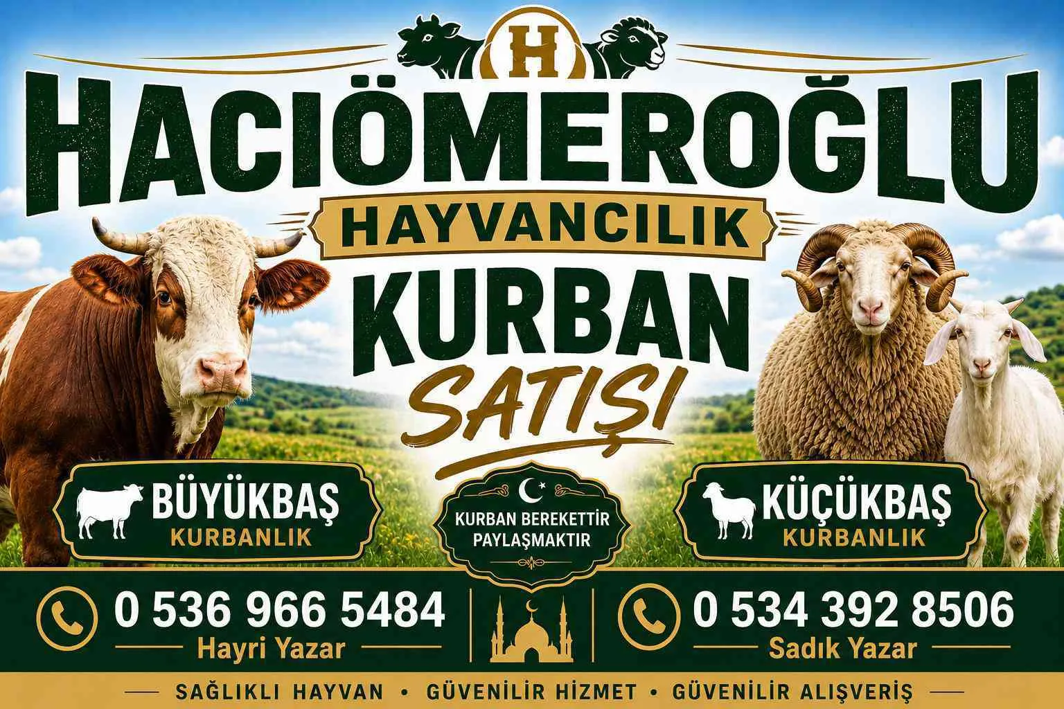 Kurbanlık Ham Düveler