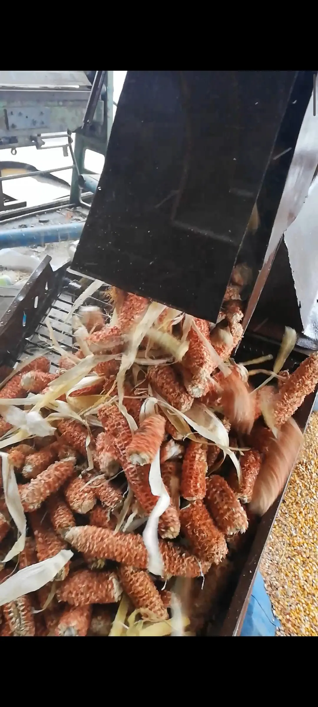 MISIR KOÇAN AYIRMA TANE YAPMA MAKİNESİ