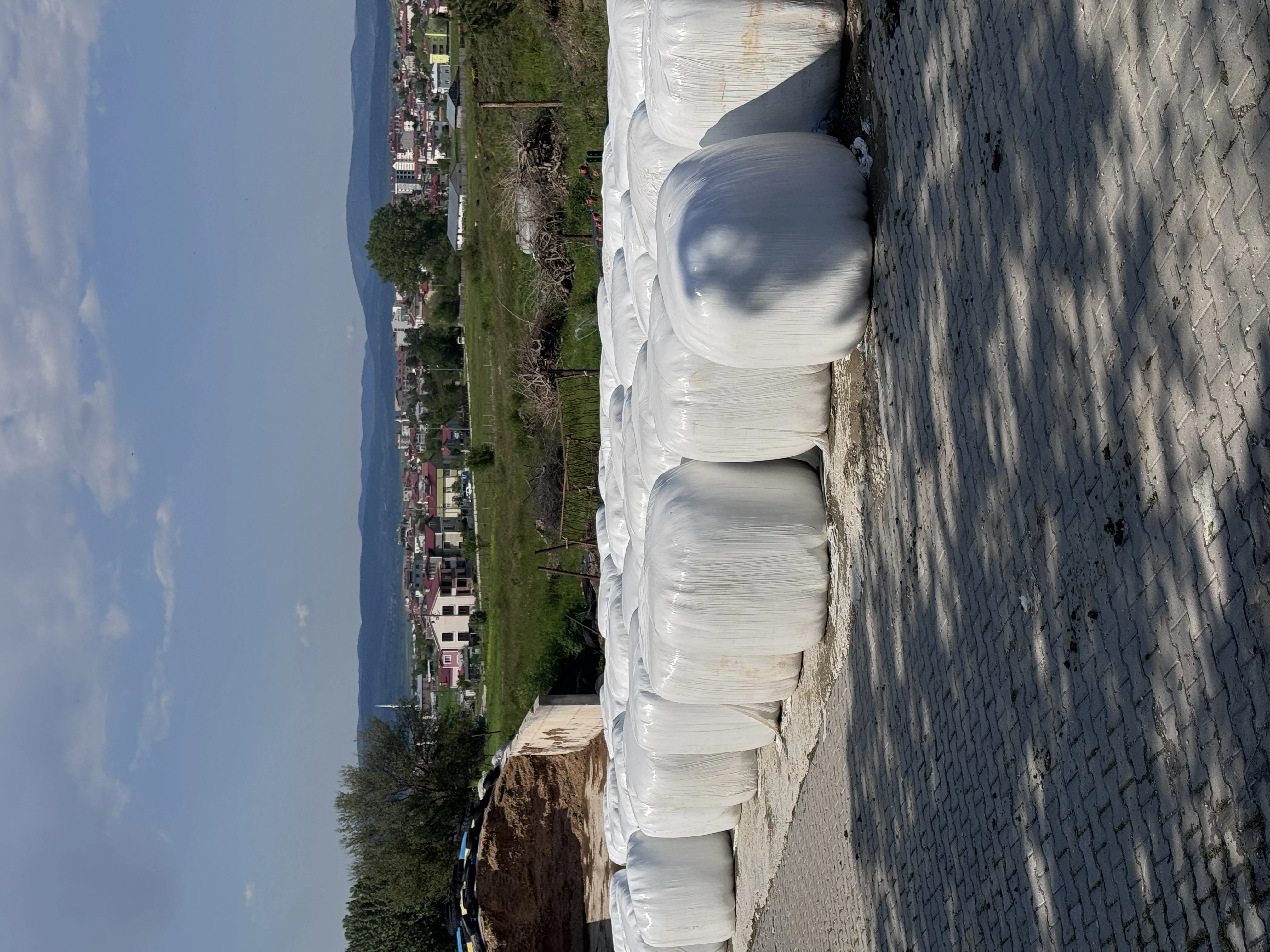 YONCA SİLAJI HAŞPAYLI 750kg