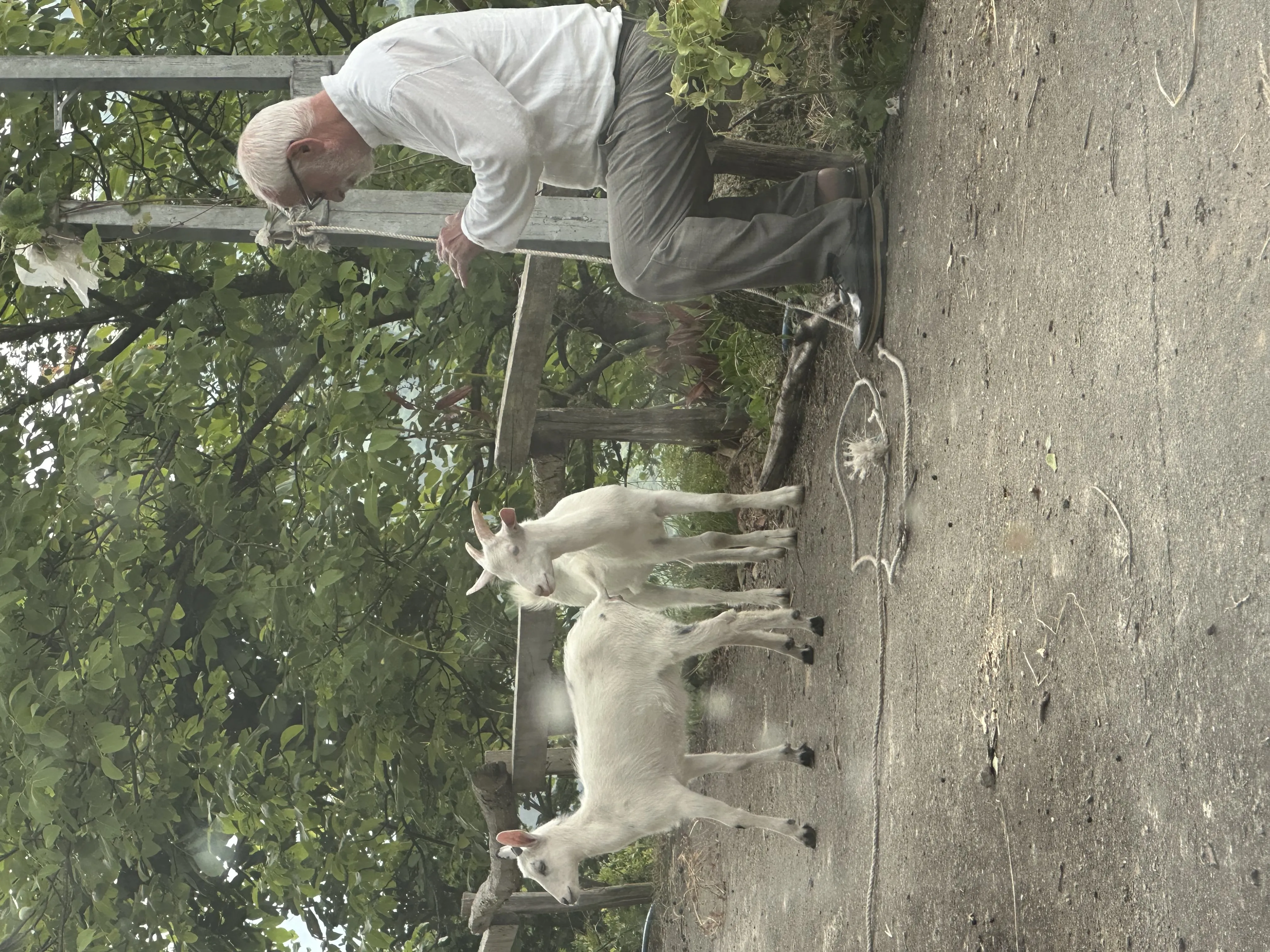 Sahibinden