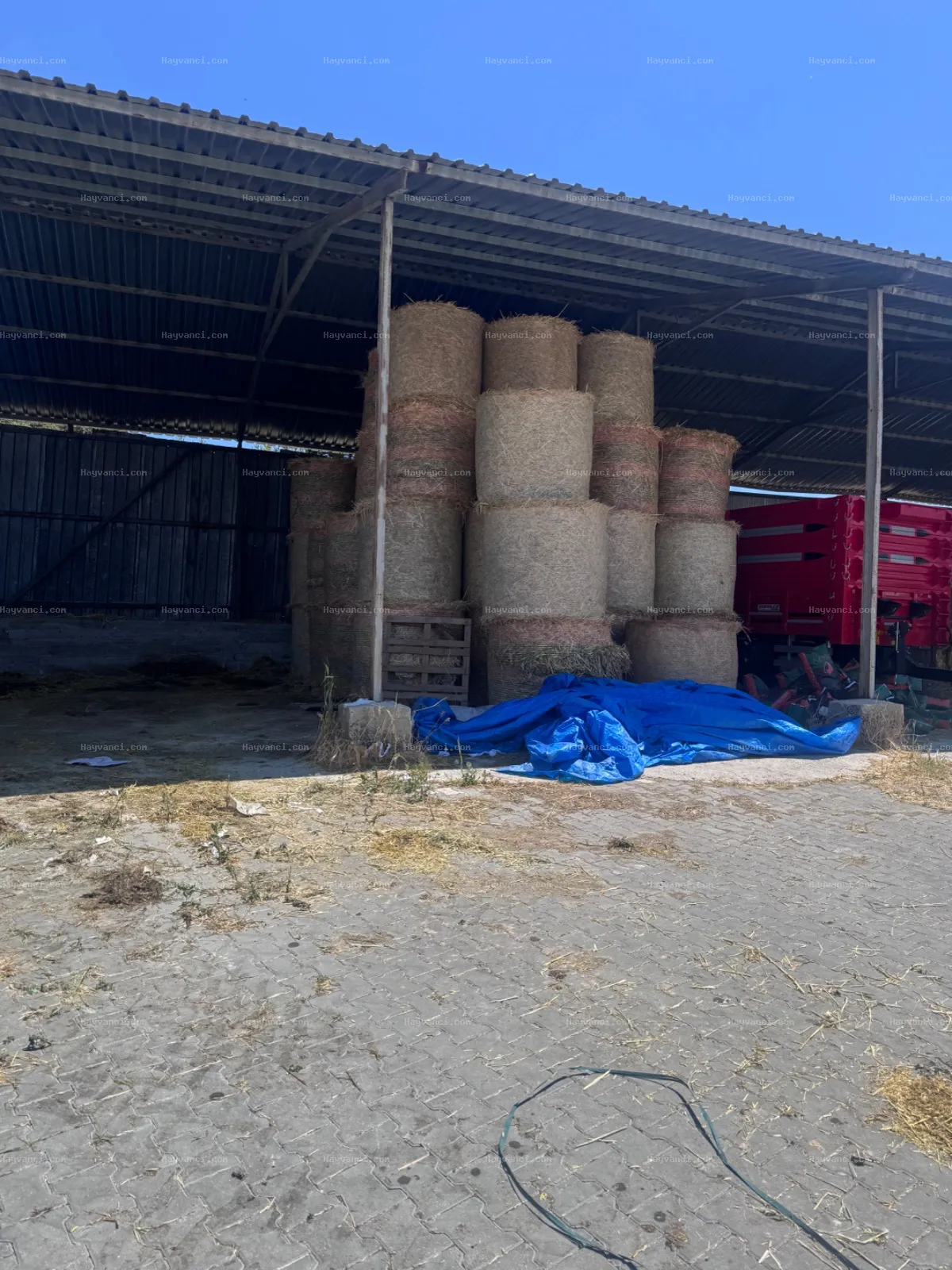 YULAF