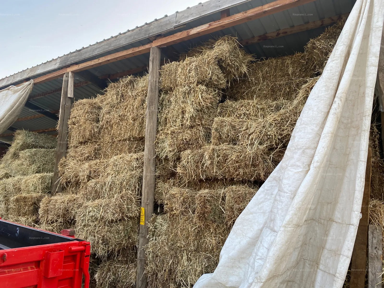 Yeni hasat FİĞ ve YONCA balyası