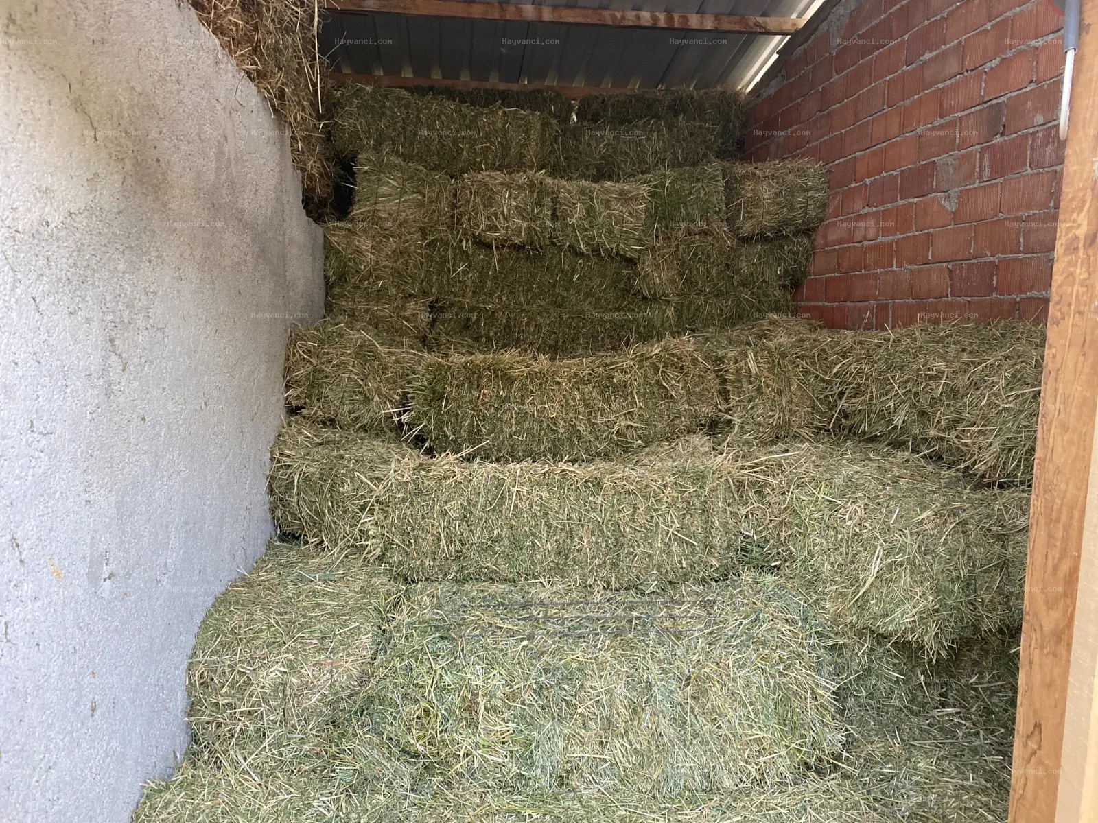 Yeni hasat FİĞ ve YONCA balyası