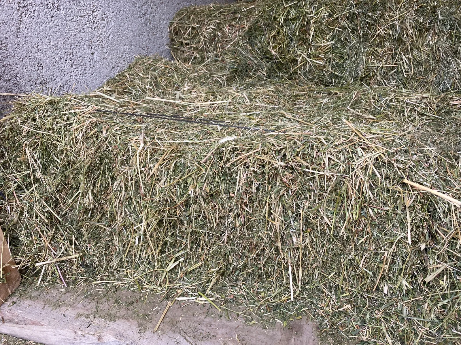 Yeni hasat FİĞ ve YONCA balyası