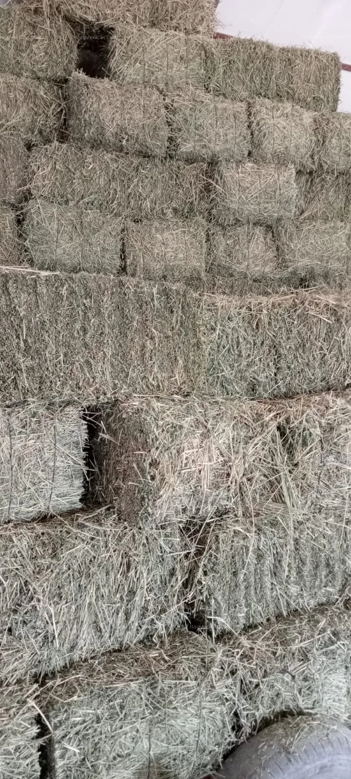 Yonca samanı. 20 kg balyalarda. Nem, yağış görmemiş. Otsuz. İyi muhafaza ediliyor. Hastalık, küf içermez