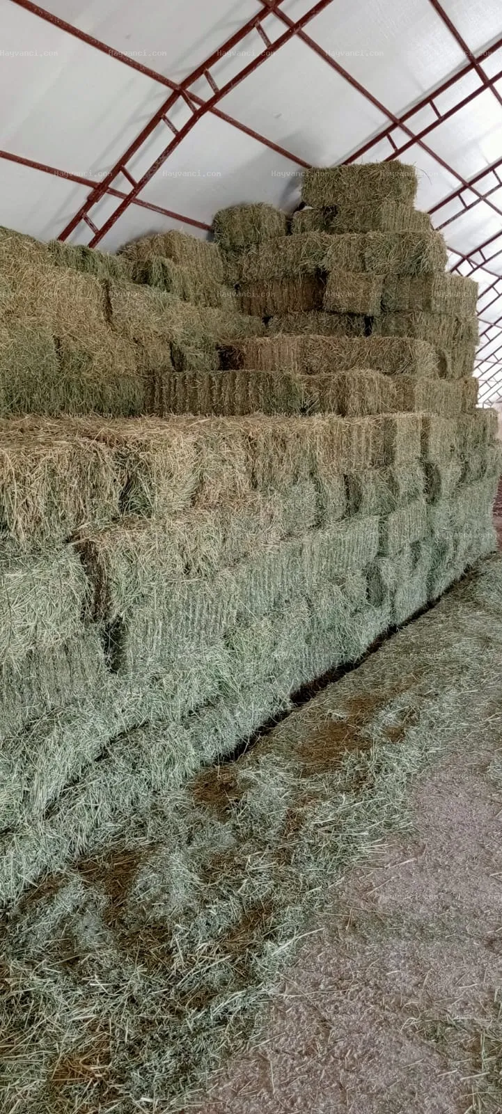 Yonca samanı. 20 kg balyalarda. Nem, yağış görmemiş. Otsuz. İyi muhafaza ediliyor. Hastalık, küf içermez